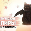 реклама в блоге lazylady_official реклама в блоге lazylady_official