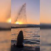 разместить рекламу в блоге olyavikulova_ разместить рекламу в блоге olyavikulova_