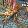 фото oblomoffood фото oblomoffood