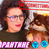 реклама в блоге chihuasophieanny_magik реклама в блоге chihuasophieanny_magik