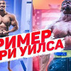 фотография superbiceps фотография superbiceps