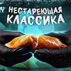 фотография grillkov фотография grillkov