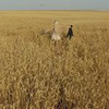 разместить рекламу в блоге Туся разместить рекламу в блоге Туся