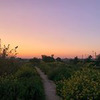 разместить рекламу в блоге Лера Щёлокова разместить рекламу в блоге Лера Щёлокова