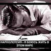 заказать рекламу у блогера Елена Гантимурова заказать рекламу у блогера Елена Гантимурова