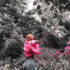 реклама на блоге Наталья Шкурина Коробова реклама на блоге Наталья Шкурина Коробова