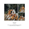 реклама в блоге oops_malygins реклама в блоге oops_malygins