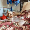 новое фото Светлана Гончарова новое фото Светлана Гончарова