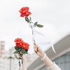 новое фото Екатерина Коломиец новое фото Екатерина Коломиец