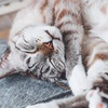 реклама на блоге caterina.acs реклама на блоге caterina.acs