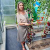 реклама на блоге derevnua_horosheevo реклама на блоге derevnua_horosheevo