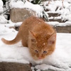 фотография simbachka_tiktok фотография simbachka_tiktok