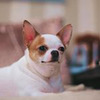 фотография milana.malinovna фотография milana.malinovna