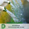 фото на странице regina_doctor фото на странице regina_doctor