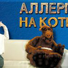 заказать рекламу у блогера Ольга Жоголева заказать рекламу у блогера Ольга Жоголева