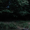 фотография Дарья Садовая фотография Дарья Садовая