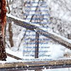 новое фото Ольга Миллер новое фото Ольга Миллер