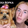 новое фото stasmileev новое фото stasmileev
