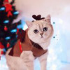 фото Настя Фед фото Настя Фед