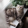 реклама у блогера Юлия Фёдорова реклама у блогера Юлия Фёдорова