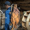 лучшие фото advokategorov лучшие фото advokategorov