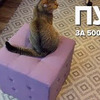 реклама в блоге Григорий и Виктория Зискинд реклама в блоге Григорий и Виктория Зискинд