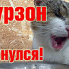 разместить рекламу в блоге В деревню! разместить рекламу в блоге В деревню!