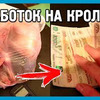 реклама в блоге Максим ДОМ В ДЕРЕВНЕ реклама в блоге Максим ДОМ В ДЕРЕВНЕ