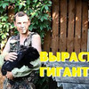 реклама на блоге Андрей Деревенский блокнот реклама на блоге Андрей Деревенский блокнот