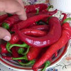 заказать рекламу у блогера Ольга и Сергей заказать рекламу у блогера Ольга и Сергей