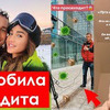 фото ТЕЛЕК ТЕЛЕК фото ТЕЛЕК ТЕЛЕК