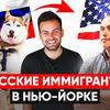 реклама в блоге sergey_kosenko реклама в блоге sergey_kosenko