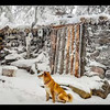 лучшие фото denis.lesnue лучшие фото denis.lesnue