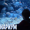 реклама на блоге tanyaselfie реклама на блоге tanyaselfie