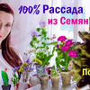 реклама в блоге lucky_myrrr реклама в блоге lucky_myrrr