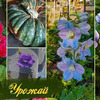 реклама у блогера lucky_myrrr реклама у блогера lucky_myrrr