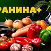 разместить рекламу в блоге Сталик Хеншиев разместить рекламу в блоге Сталик Хеншиев