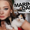 разместить рекламу в блоге marinadali разместить рекламу в блоге marinadali