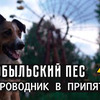 лучшие фото ilia_zhe лучшие фото ilia_zhe