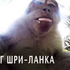 разместить рекламу в блоге lina_ruess разместить рекламу в блоге lina_ruess