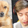 реклама у блоггера aleksey_hyper реклама у блоггера aleksey_hyper
