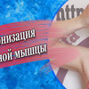 разместить рекламу в блоге bragina.katerina разместить рекламу в блоге bragina.katerina