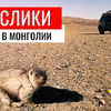 новое фото Saiman.ip.team новое фото Saiman.ip.team