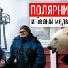 заказать рекламу у блогера Saiman.ip.team заказать рекламу у блогера Saiman.ip.team