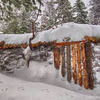 фотография denis.lesnue фотография denis.lesnue