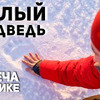 реклама у блогера bogdee реклама у блогера bogdee