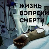 реклама у блогера Семья В селе реклама у блогера Семья В селе