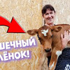 фотография ДЕРЕВЕНСКИЙ ДНЕВНИК ОЧЕНЬ МНОГОДЕТНОЙ МАМЫ фотография ДЕРЕВЕНСКИЙ ДНЕВНИК ОЧЕНЬ МНОГОДЕТНОЙ МАМЫ