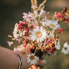 разместить рекламу в блоге curly__mum разместить рекламу в блоге curly__mum