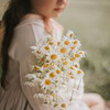реклама в блоге curly__mum реклама в блоге curly__mum